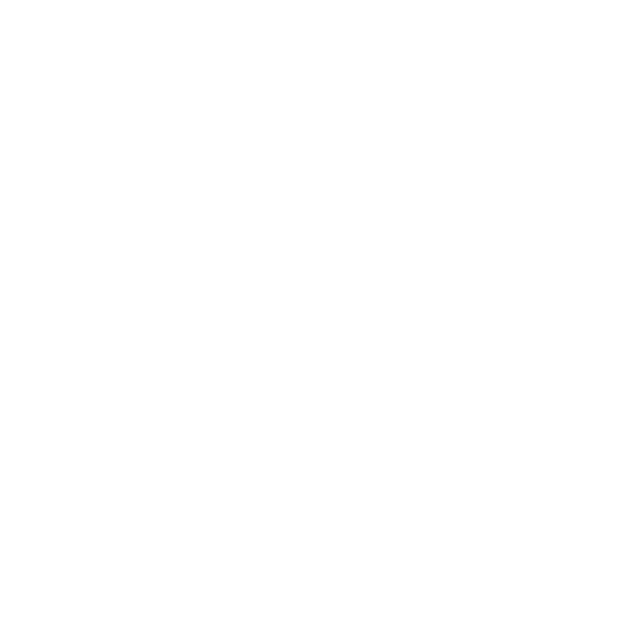 A4